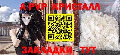 СК Обь
